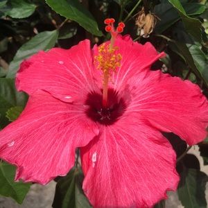 Meet your Posher, Raquel